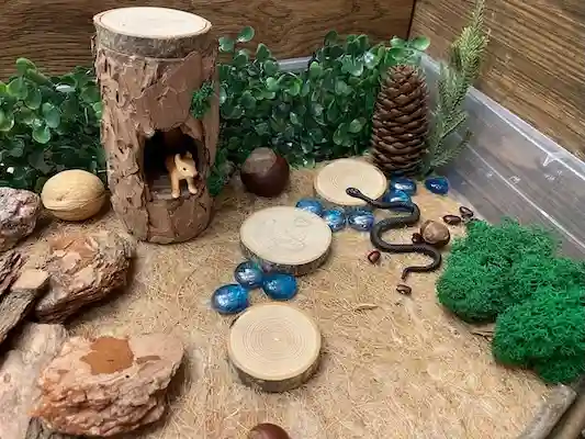 Белка в дупле