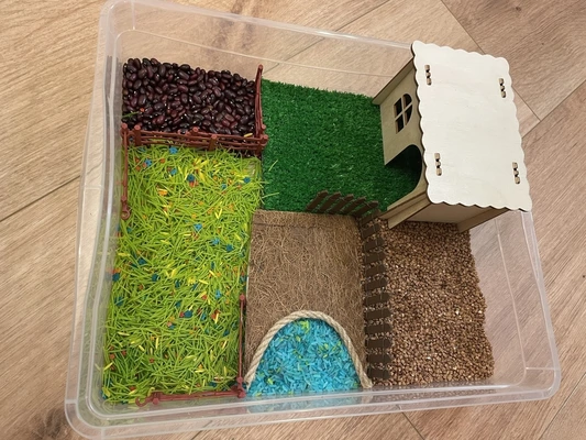 Раскладка сенсорной коробки "Ферма": шаг 3