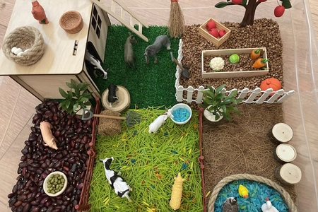 Ферма с животными - общий вид