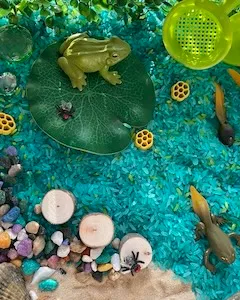 Лягушка на кувшинке
