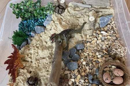 Общий план – Рекс