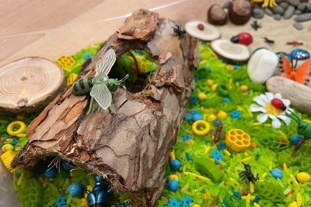 Бревно с насекомыми крупным планом