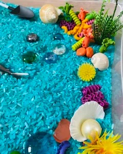 Ракушки