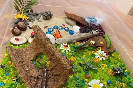 Бревно изнутри