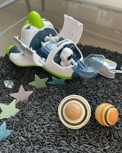 Корабль с пилотом